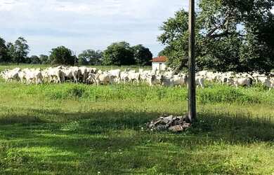 Imagem: A fazenda possui 139m² de Área e está localizado em Aruanã