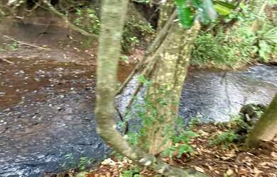 Imagem: A fazenda possui 20000m² de Área e está localizado em Juatuba