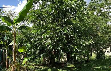 Imagem 9: Casa para descanso. Piscina, Churrasqueira, Acomodam 9 pessoase5 Vagas...