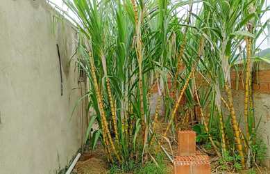 Imagem 8: Casa em Itaipuaçu. Varanda, 84m² de Área, 1 Vaga na garageme1 Dormitório