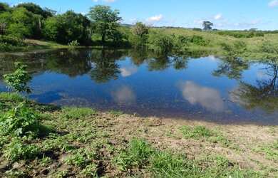 Imagem: O terreno possui 980.000m² de Área e está localizado em