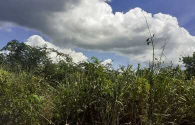 Imagem 1: Venda. 22m² de Área