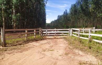 Imagem: 1.100 há a 40 minutos de Campo Grande MS