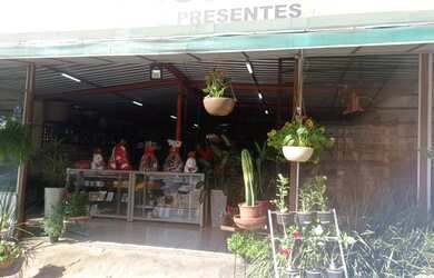 Imagem 1: loja comercial floricultura para aluguel e venda tem 4000 metros quadrados