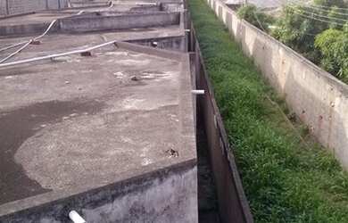 Imagem 4: Terreno BR 356 Rio X Muriaé