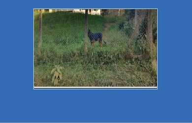 Imagem: O terreno possui 1.809m² de Área e está localizado em Colônia