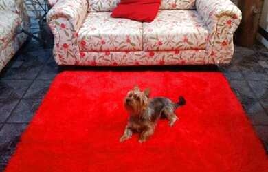 Imagem 3: CASA EM JANDIRA Casa com 3 dormitórios