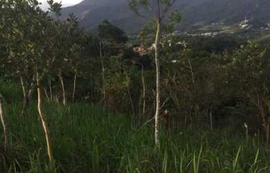 Imagem: O terreno possui 334m² de Área e está localizado em Ilhabela