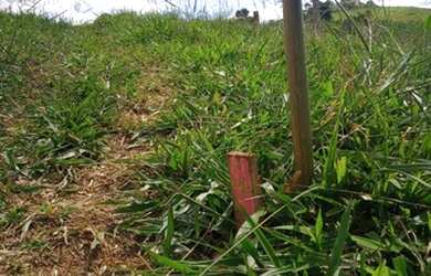 Imagem 3: Terrenos dos seus sonhos com preços que vc sempre quis, corre agende sua visita