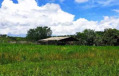 Imagem 5: Chacara Sitio Fazenda Unai MG