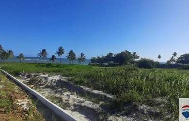 Imagem 9: Terreno à venda, 200 m² por R$ 70.140,00 - Barra Grande - Vera Cruz/BA