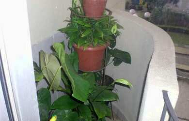 Imagem 4: Apartamento residencial à venda, Cangaíba, São Paulo