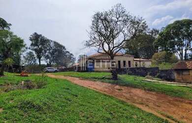 Imagem 2: 300 Hectares à Venda em Área de Plantio