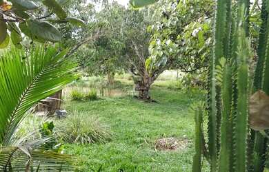 Imagem: A casa possui 4 Dormitórios, 3 Banheiros, 3 Vagas na garagem