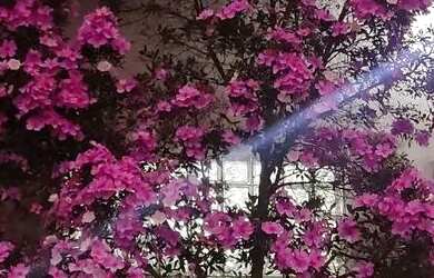 Imagem 2: Casa. 100m² de Área, 1 Banheiroe2 Dormitórios