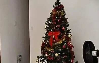 Imagem 8: Imóvel para venda com 263 metros quadrados com 4 quartos em Alphaville...