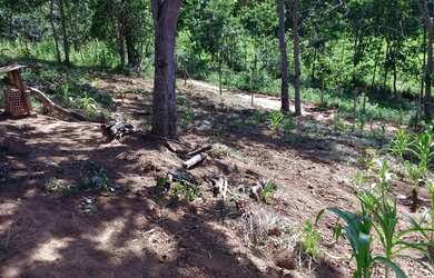 Imagem: A chácara possui 2.900m² de Área e está localizado em Taquaraçu