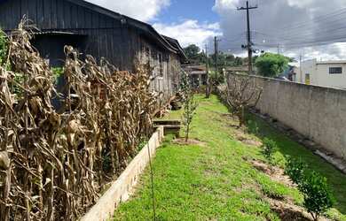 Imagem 6: Terreno à venda com 360 metros quadrados em - Palmeira - Paraná