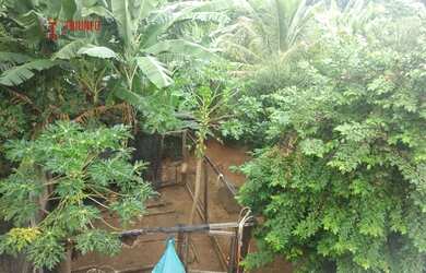 Imagem 13: Casa Padrão para Venda em Frimisa Santa Luzia-MG - 819