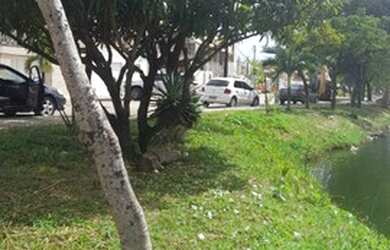 Imagem 5: ÚNICO - 2 Lotes no Loteamento Villa Rica Bairro Cajazeiras