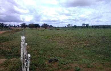 Imagem 13: Fazenda à venda, 3339600 m² por R$ 3.450.000 - Araguaína/TO