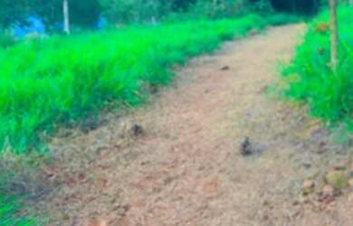 Imagem 9: Lote/Terreno para venda tem 600 metros quadrados em Centro - Nazaré Paulista...