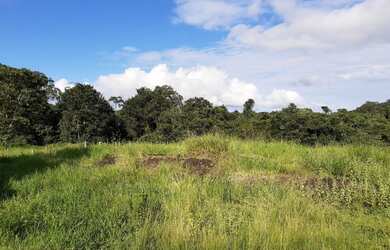 Imagem: A fazenda possui 770.000m² de Área e está localizado em