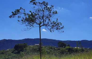 Imagem 6: Morar ou Investir em Tiradentes. Lotes por 16.995 Parcelas