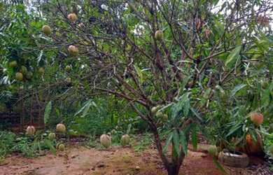 Imagem 12: ESTRUTURA NUMA AREA 2 HECTARES//ESCRITURADO//ACEITA LOTE REGIÃO SUL