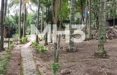 Imagem 7: sítio - Itapetinga - Atibaia