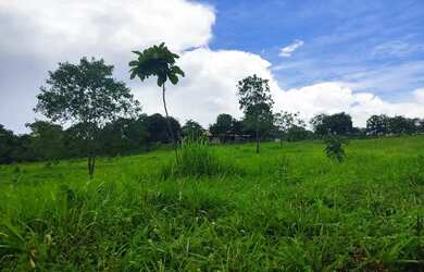 Imagem 3: Chacara Sitio Fazenda Unai MG