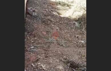 Imagem 3: Terreno à venda no bairro Bonsucesso Barreiro - Belo Horizonte/MG