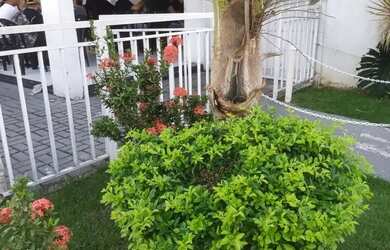 Imagem: O apartamento para alugar possui 2 Dormitórios, 1 Banheiro