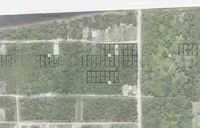 Imagem: O terreno possui 360m² de Área e está localizado em São