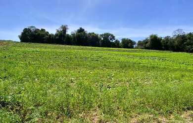 Imagem: Terreno à venda Ibiúna, 18min do centro