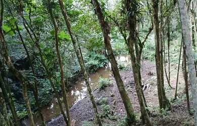 Imagem 13: 10 mil mts nas montanhas com lago 167 mil reais