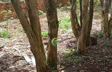 Imagem: Terreno à venda, 600 m² por R$ 860.000,00 - Centro - Cascavel/PR