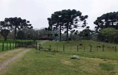 Imagem 9: Sitio - Bairro Serra Grande