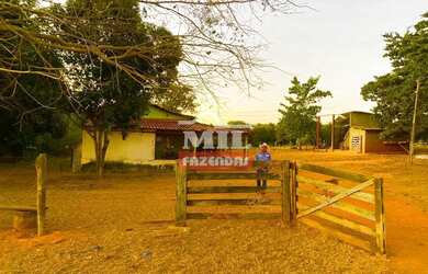 Imagem 11: Fazenda 68 alqueires 329 hectares Campos Verdes-GO