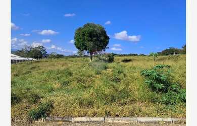 Imagem 4: CHÁCARA À VENDA BUARQUE DE MACEDO