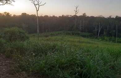 Imagem: A fazenda possui 150m² de Área e está localizado em Sena