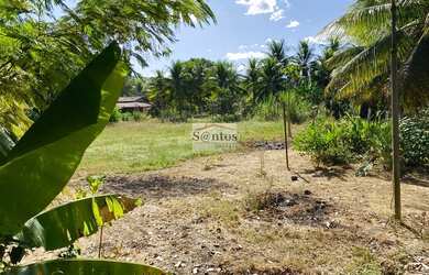 Imagem: Vendo Chácara de Fácil Acesso!