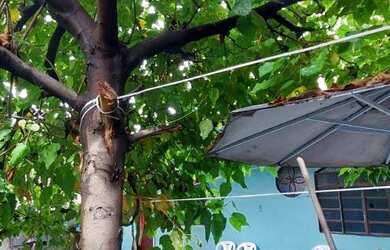 Imagem 4: Terreno à venda, 360 m² por R$ 450.000,00 - São João Batista Venda...