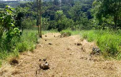 Imagem 1: Lote/Terreno para venda possui 600 metros quadrados em Centro - Nazaré Paulista - SP