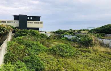 Imagem 2: RARIDADE EM ITAÚNA