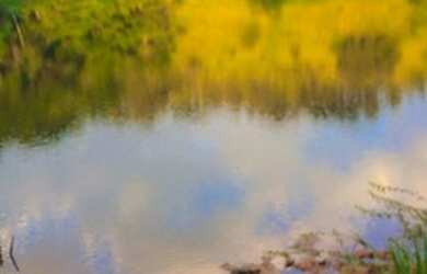 Imagem 10: Lote/Terreno para venda tem 600 metros quadrados em Centro - Nazaré Paulista...