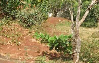 Imagem 2: TERRENO. 300m² de Área