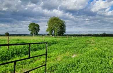 Imagem: A fazenda e está localizado em Araguapaz, GO à venda por R$25.000.000
