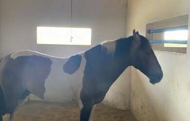 Imagem 14: Lotes na Fazenda Real Macaiba