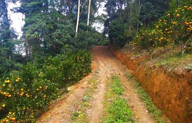 Imagem: A fazenda possui 10000m² de Área e está localizado em Paraju